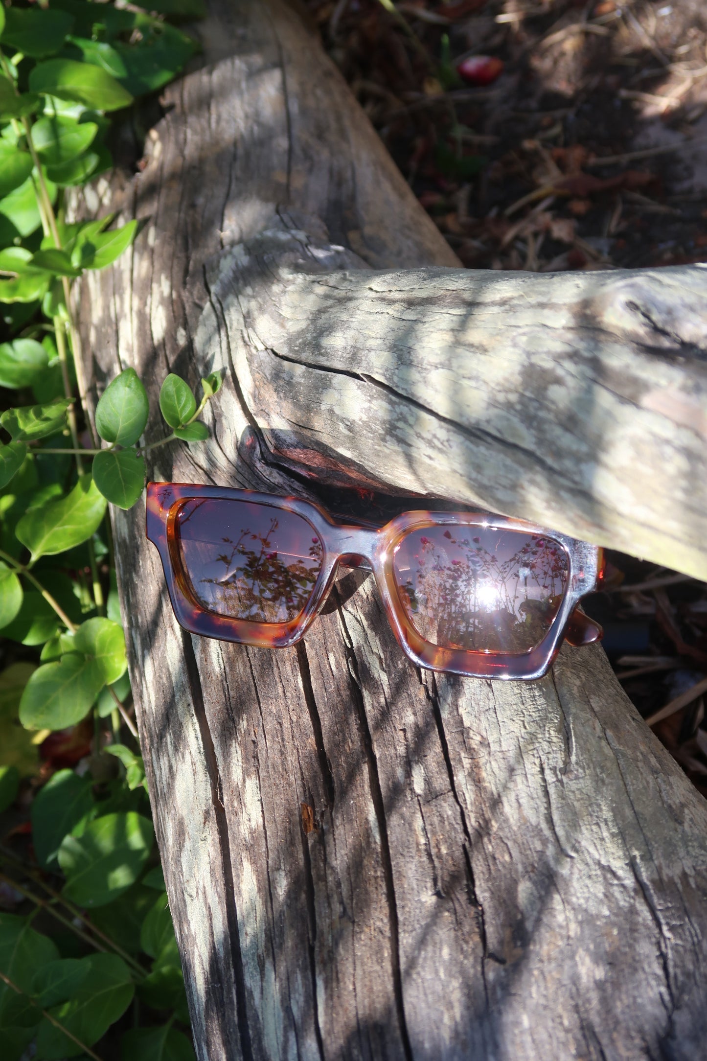 Foggy Summer Sunglasses - Tortoiseshell